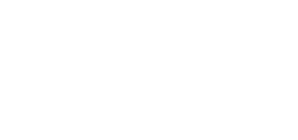 Logo linksversifft